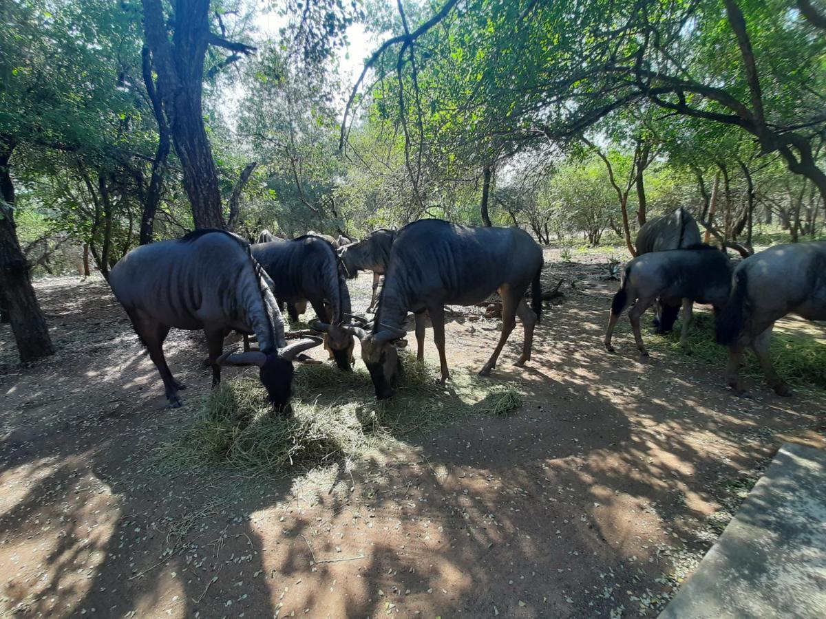 African Sky Villas Marloth Park Exterior photo