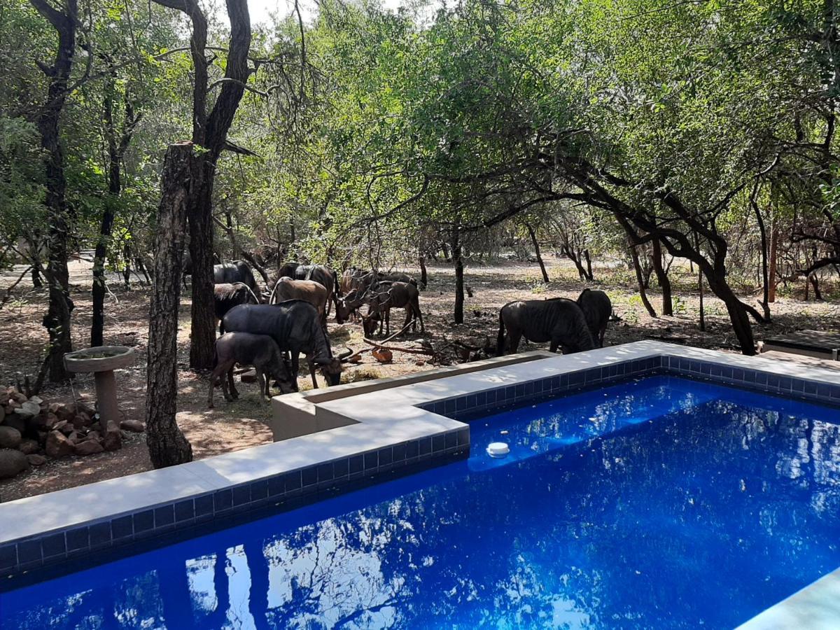 African Sky Villas Marloth Park Exterior photo